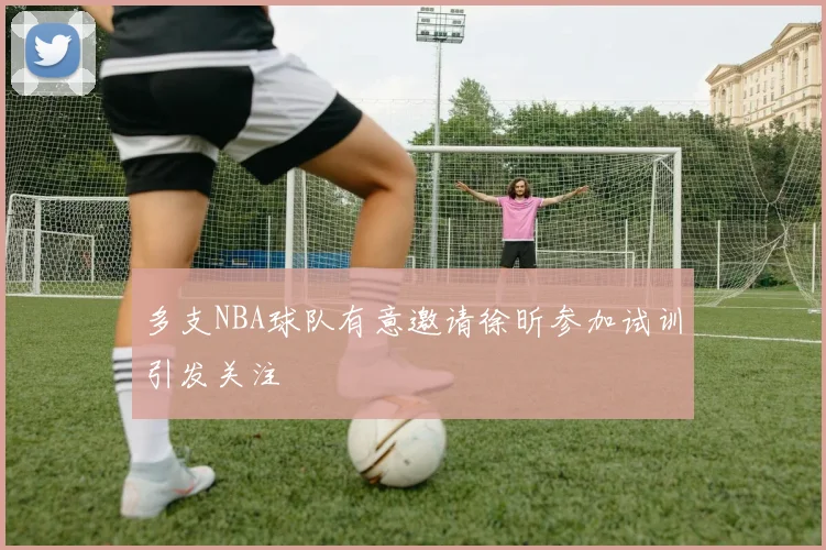 多支NBA球队有意邀请徐昕参加试训引发关注