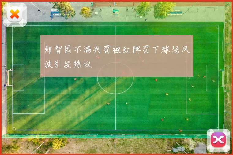 郑智因不满判罚被红牌罚下球场风波引发热议